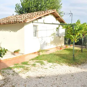 https://la-vite-sul-tetto.riccione-hotels.org